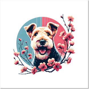 Lakeland Terrier Delights in Spring Cherry Blossoms Posters and Art